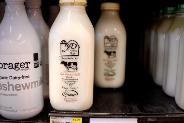 Refrigerated milk storage