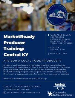 flyer for marketready training