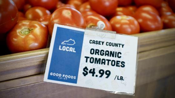 Organic tomatoes