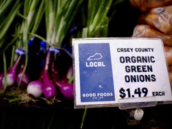 Produce price tag for organic green onions