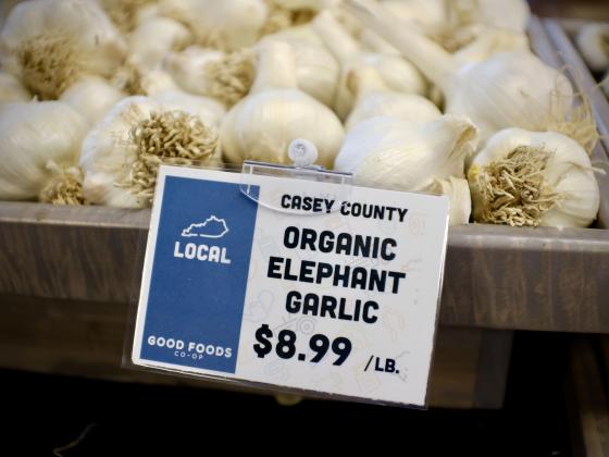 Organic elephant garlic pricing signage